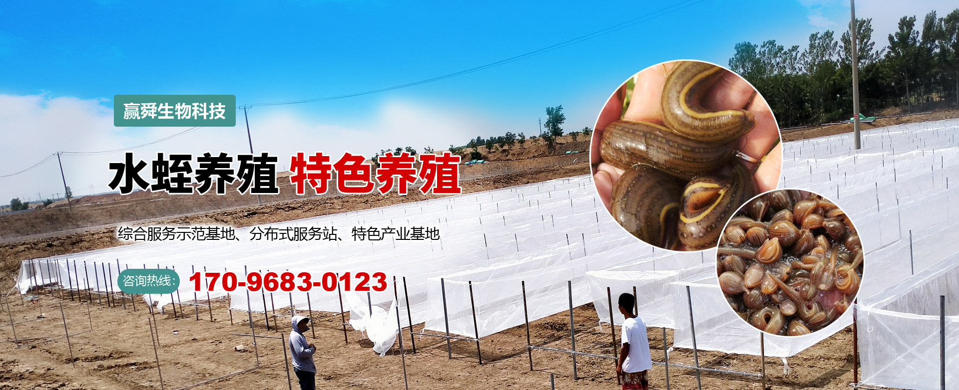 350vip浦京集团
