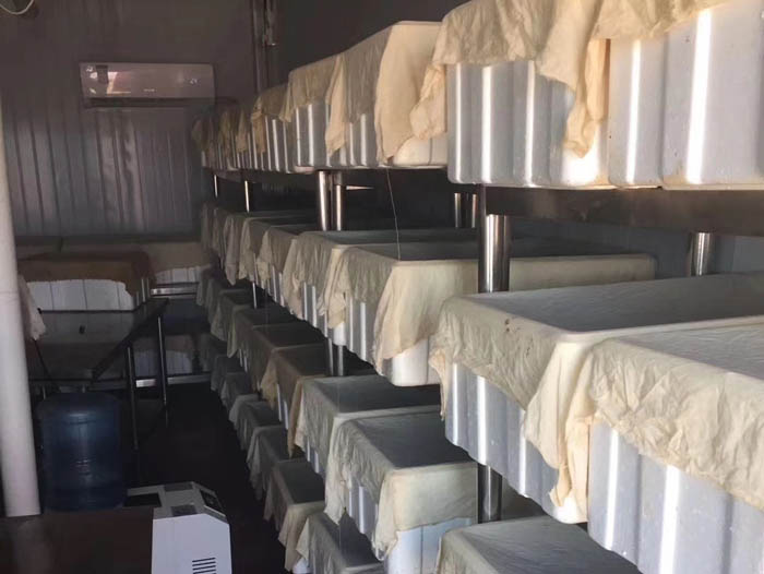 350vip浦京集团制品