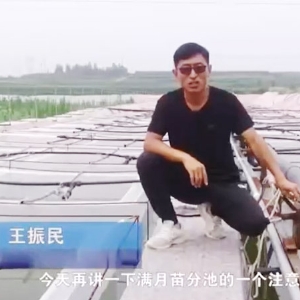 350vip浦京集团满月苗确当苦衷项