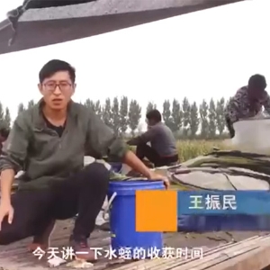 350vip浦京集团收成功夫